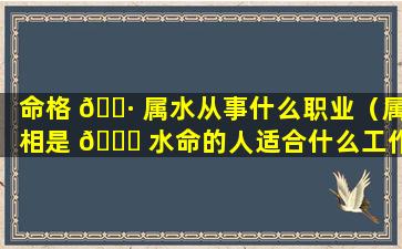 命格 🌷 属水从事什么职业（属相是 🐟 水命的人适合什么工作）